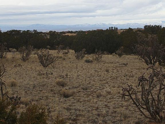 5th image of 5 Camino De Verdad