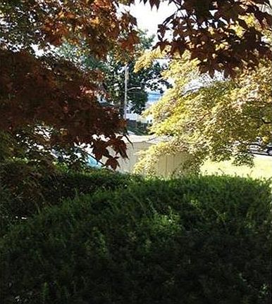 Seasonal Hudson River Views