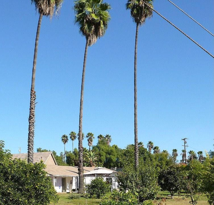 view from road