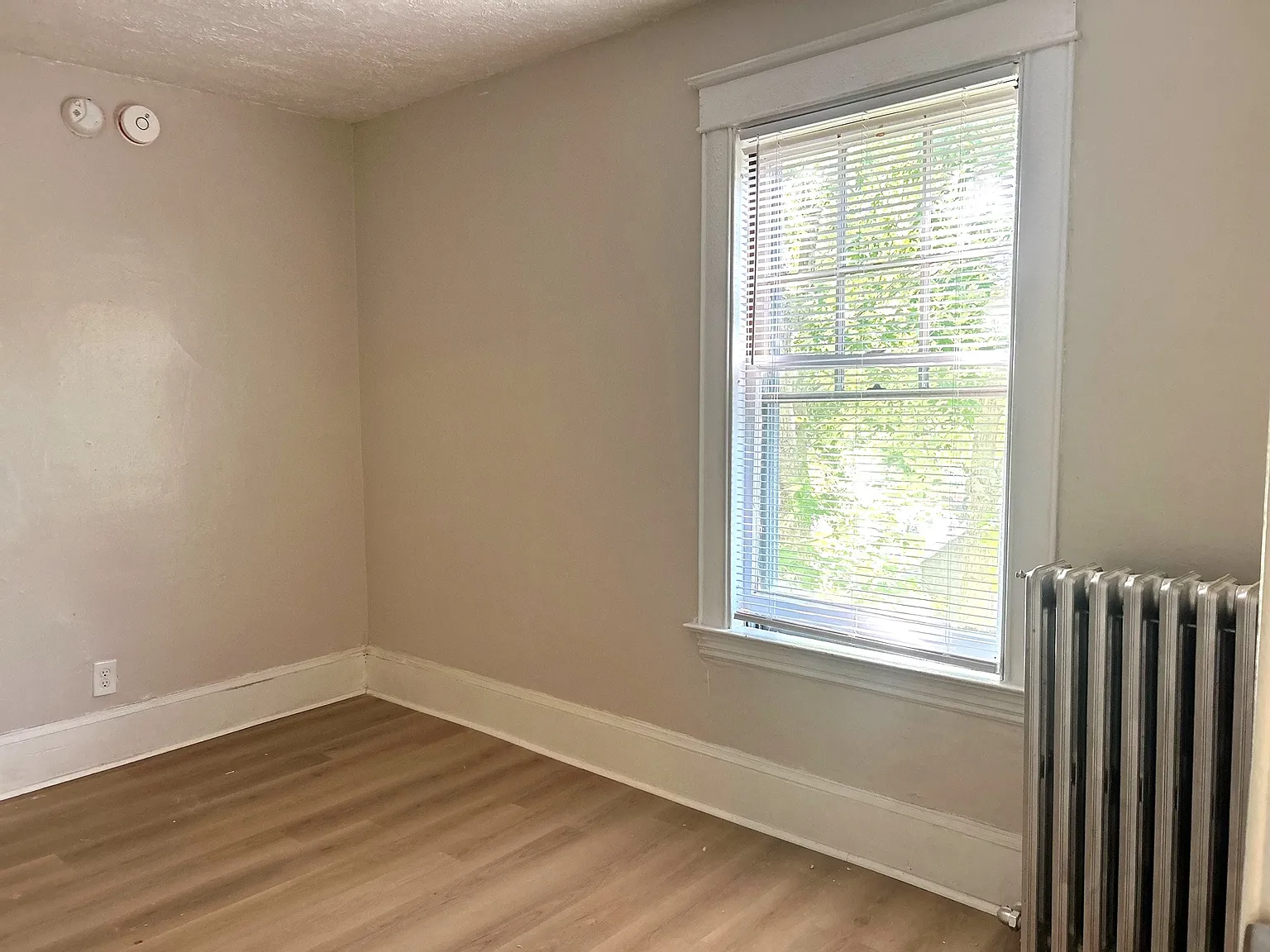 3 bed, $1,500 — Photo 4