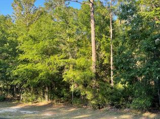 6432 Mount Pleasant Rd, Hortense, GA 31543