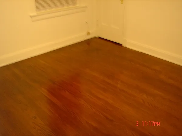 1 bed, 1.0 bath, 625 sqft, $1,750 — Photo 2