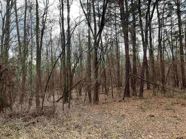 TRACT 1 Venus Rd, White Oak, TX 75693