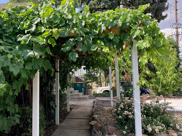 1921 Iris St — Photo 4