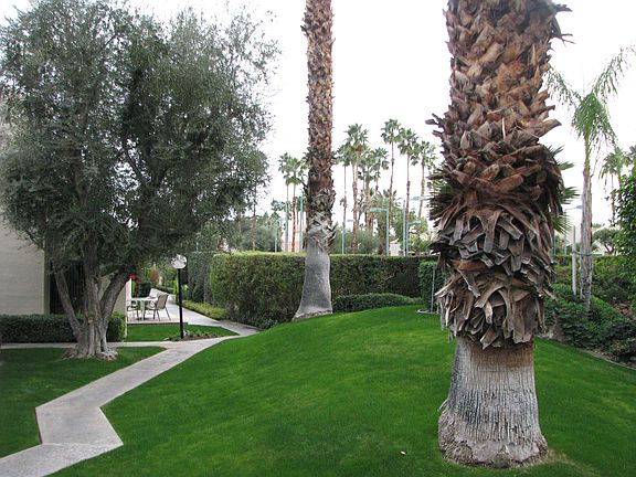 View from your private patio. Path to lighted tennis/pickle ball courts, and pool/spa.