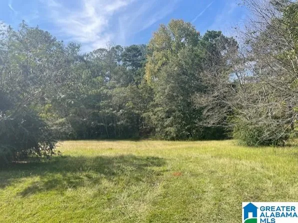 240 Blue Bird Ln #1, Alpine, AL 35014