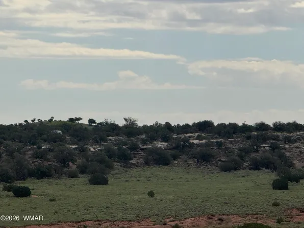 Stirrup Rd, Snowflake, AZ 85937