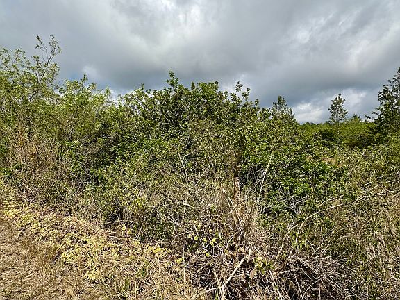5th image of Paradise Pkwy Lot 11