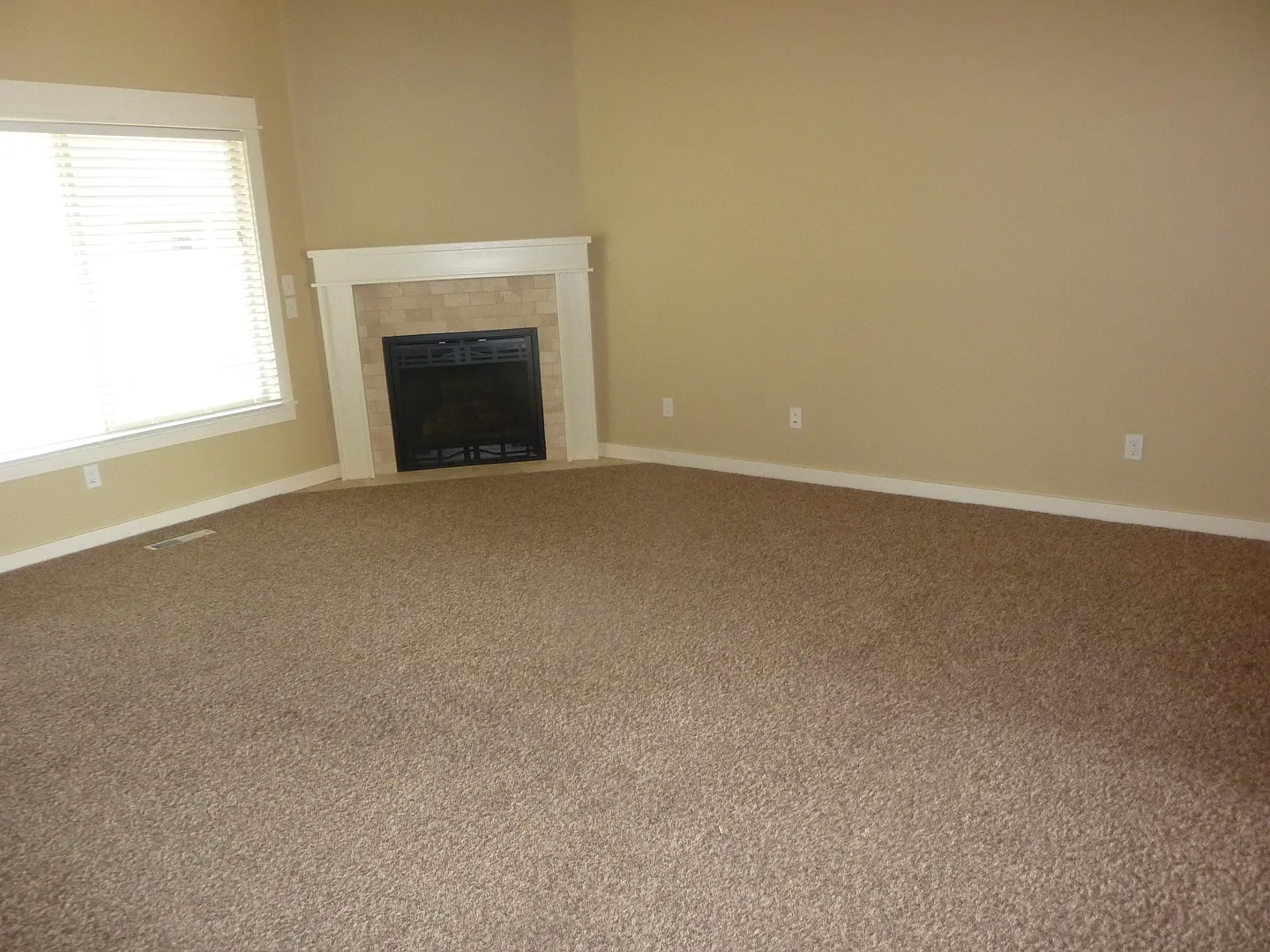 Spacious & Bright — Photo 2
