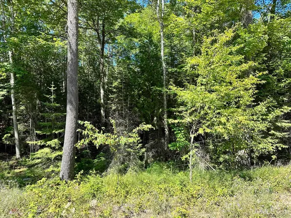 W Hemlock Views Trl Lot 21 & 22, Manistique, MI 49854