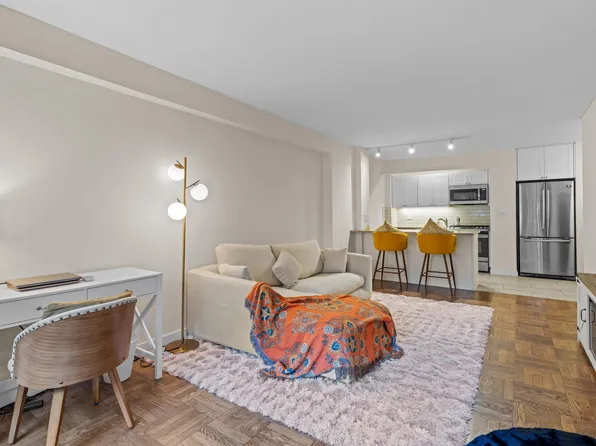 245 East 24th Street image 5 of 19