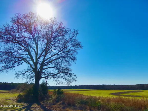 Newport Rd, Lexington, MS 39095