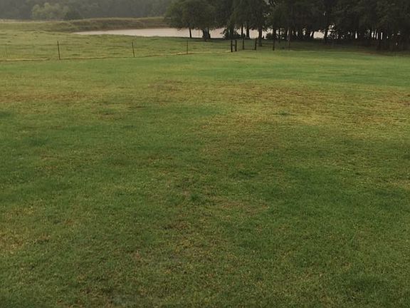 Front porch view of pond
