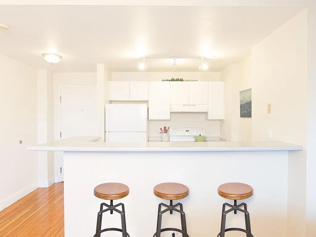 1 bed, 496 sqft, $3,000 — Photo 2