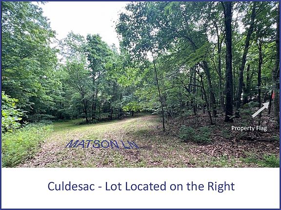 4th image of Matson Ln #9