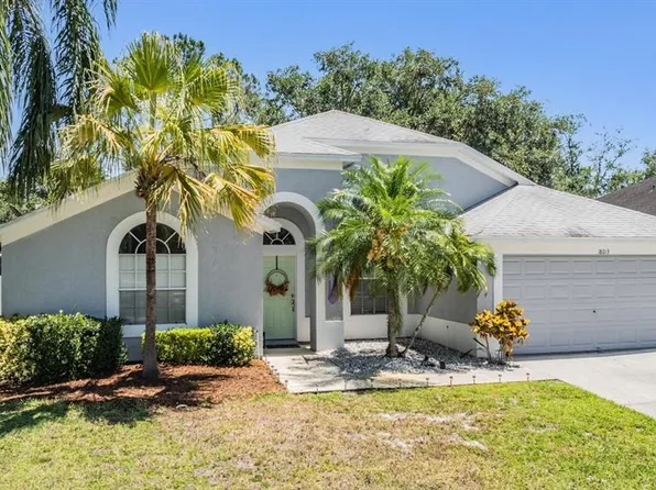 18013 PALM BREEZE DRIVE, TAMPA, FL 33647