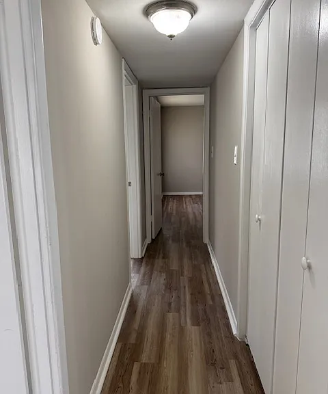 2269 Robin Lyn Ct — Photo 12
