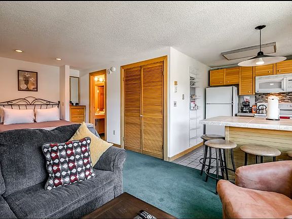 3rd image of 535 S Park Ave #4608