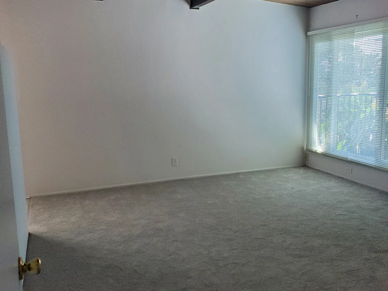2 bed, 800 sqft, $2,900 — Photo 2