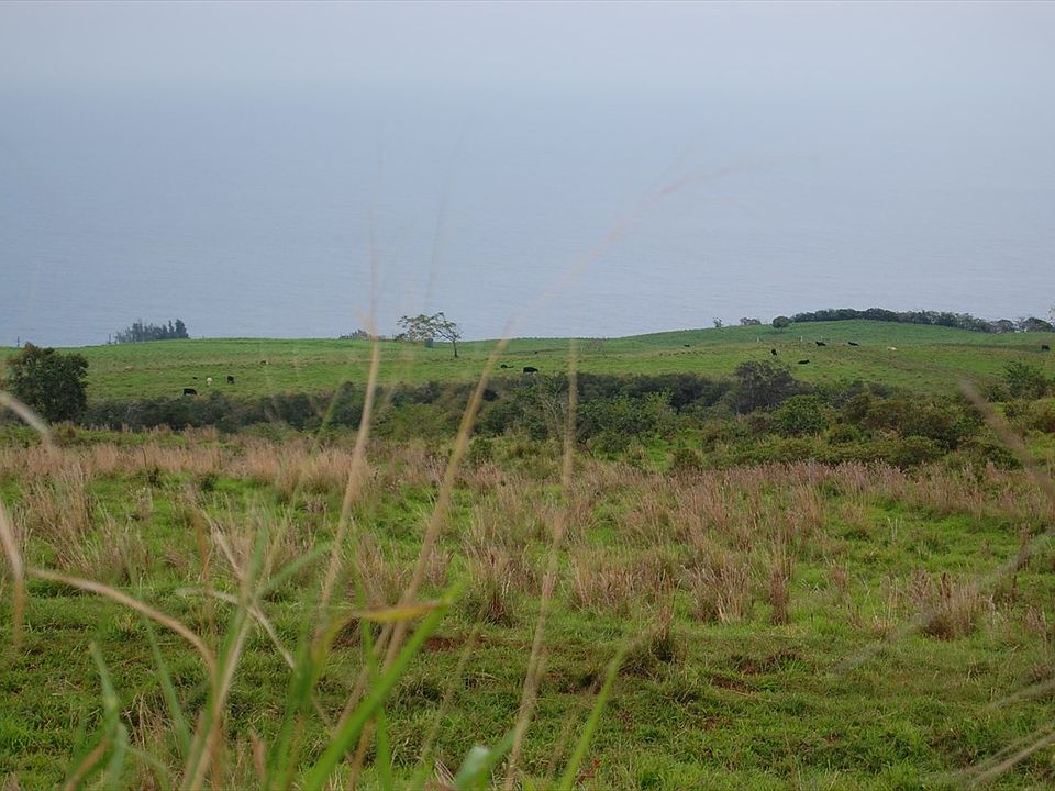 1st image of 36-470 Manowaiopae Homestead Rd Lot 2