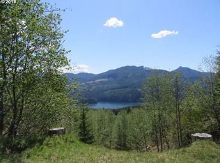4 Marble Mtn, Cougar, WA 98616