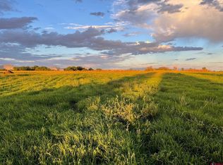 1835 O Rd, Fruita, CO 81521