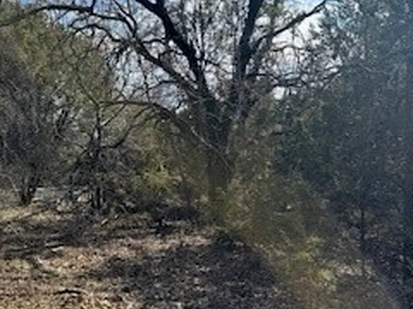 21039 Shady Oak Ct, Whitney, TX 76692