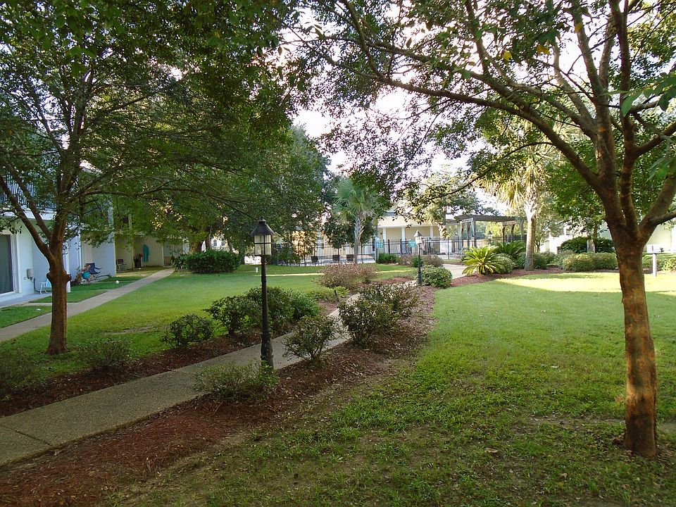 View from back porch