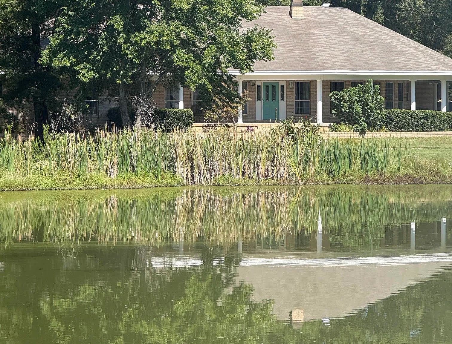 4 bed, 3404 sqft, $4,500 — Photo 3