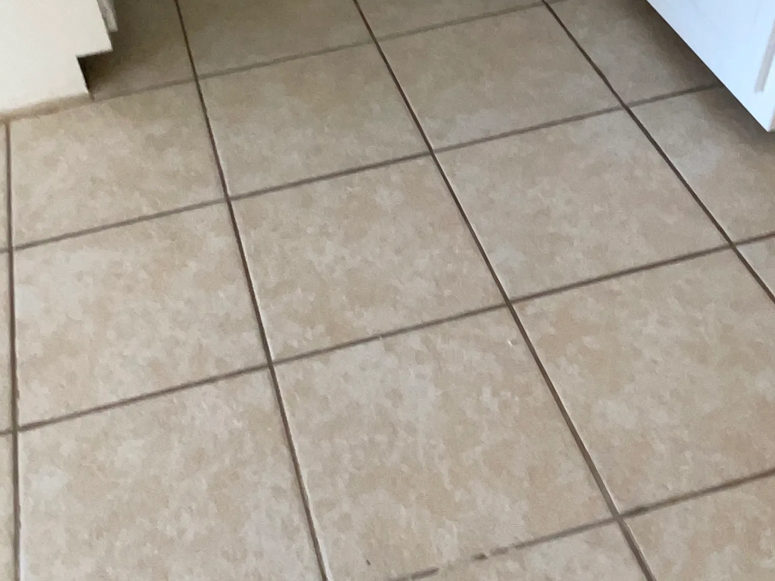 2 bed, 1200 sqft, $2,000 — Photo 2