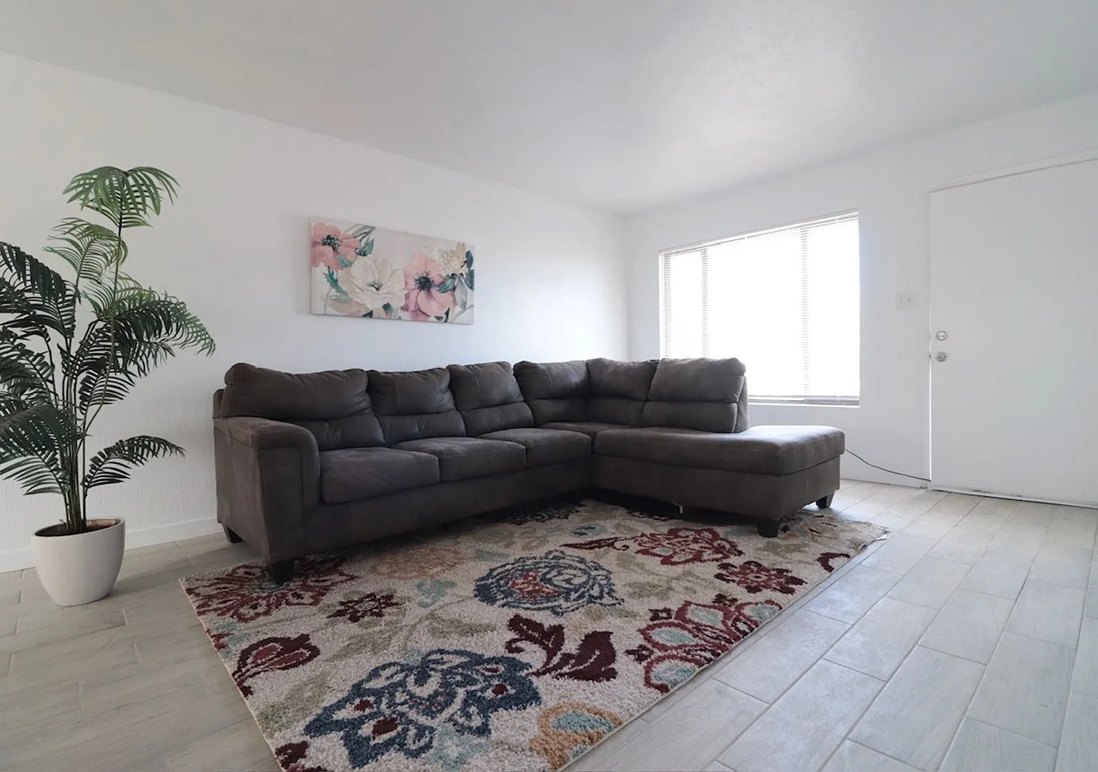 3-Bedroom Home for Rent in Northeast Albuquerque! — Photo 2