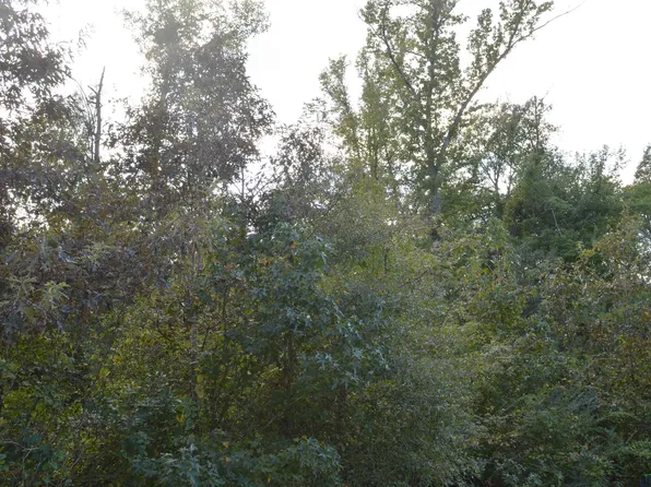 Hwty #49, Jefferson, TX 75657