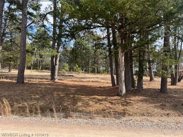 526 Bayview Dr, New Blaine, AR 72851