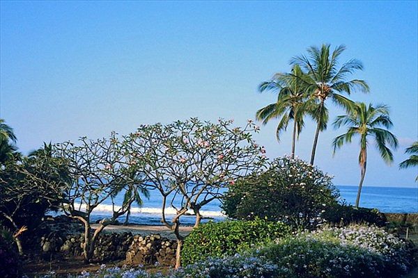 1st image of 75-6150 Alii Dr APT 1B