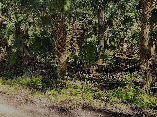 125 Branham Ln, Deltona, FL 32738