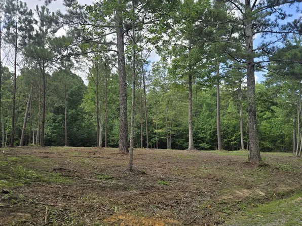 49-50 Lake View Dr, Mentone, AL 35984