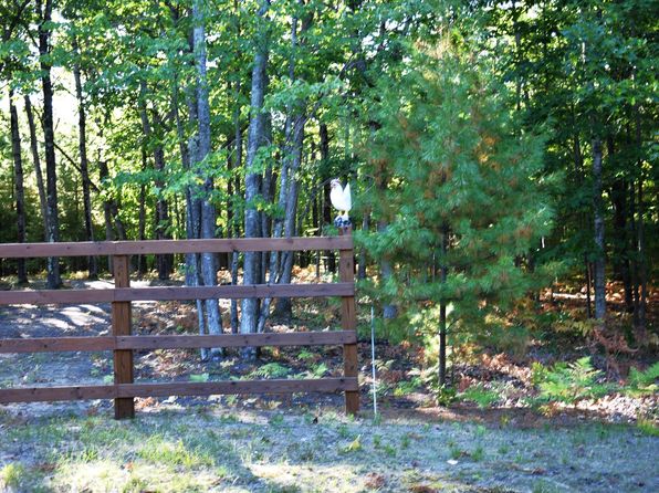 1289 Service Rd, Indian River, MI 49749