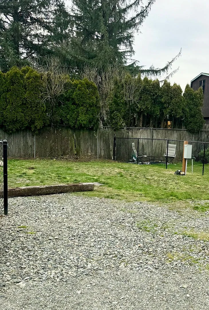 Ravensdale Manor — Photo 2
