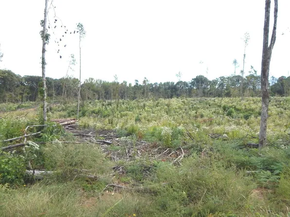 31 811th Rd, Tillatoba, MS 38961