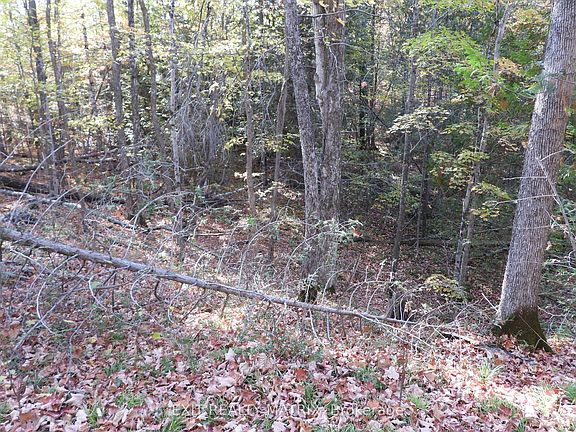 3rd image of LOT 1 Woodland Park Dr