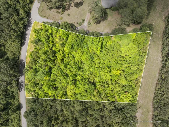 J Barnes Rd, Purvis, MS 39475
