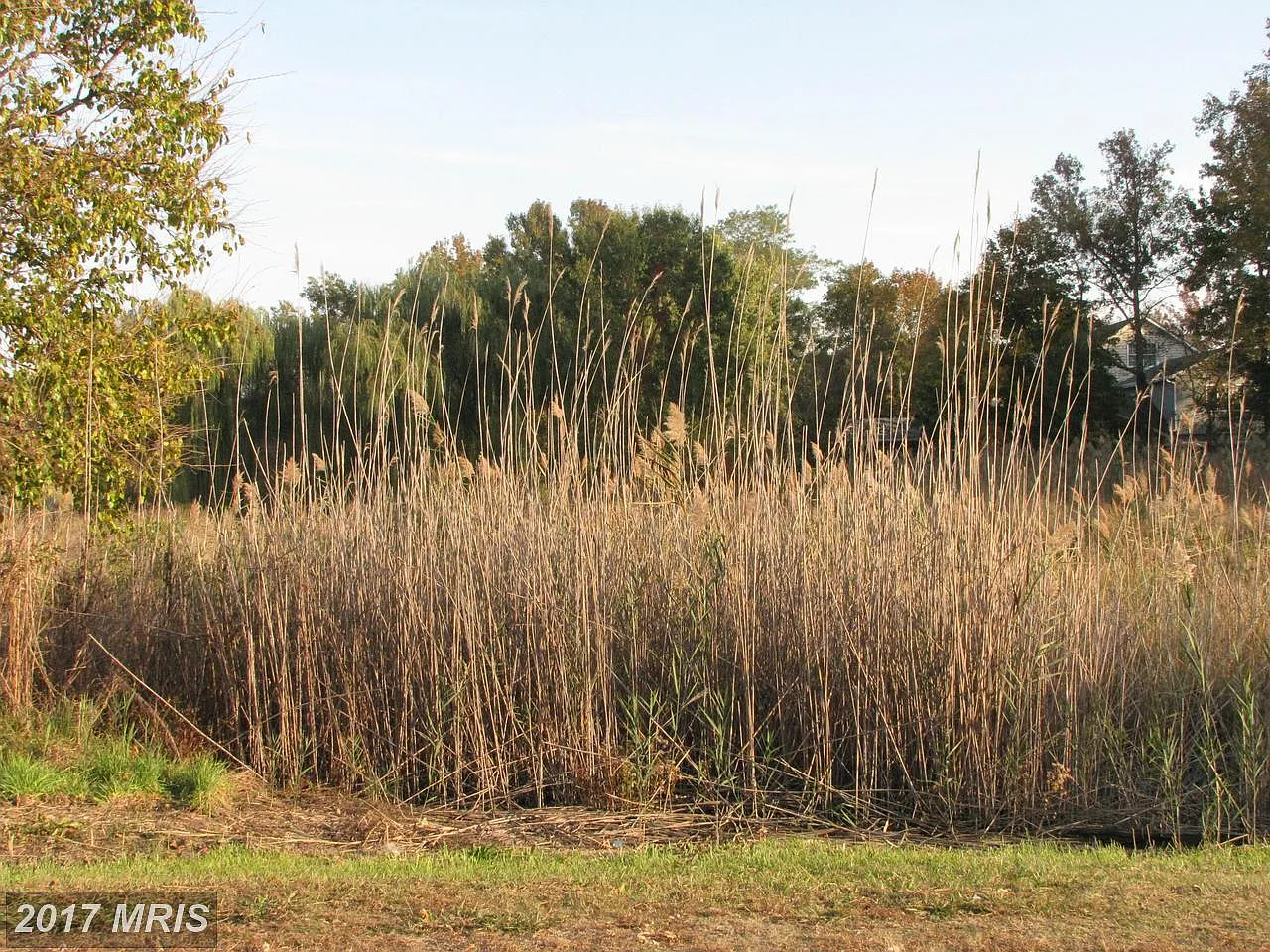 502 Broadcreek Dr photo 1