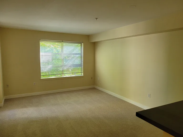 111 108th Ave NE #206 — Photo 40