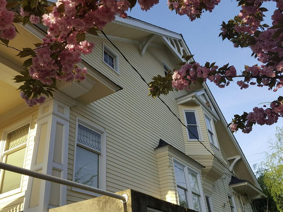 North side of the house