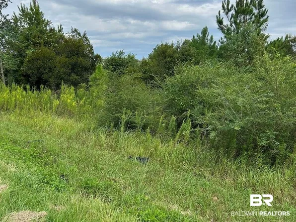 0 Bellingrath Rd, Theodore, AL 36582