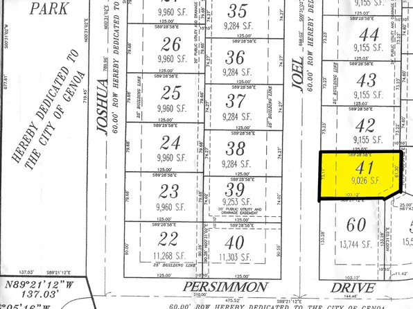 1016 Joel Ln #41, Genoa, IL 60135