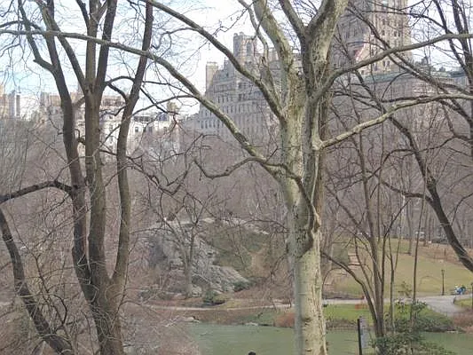 Rented by essential NEW YORK Real Estate | media 29