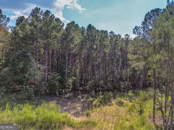 0 Government Farm Rd, Rockmart, GA 30153