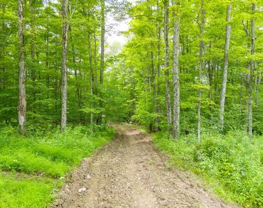 0 Sanitarium Hill Rd, Mainesburg, PA, 16932