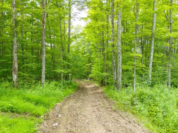 0 Sanitarium Hill Rd, Mainesburg, PA 16932